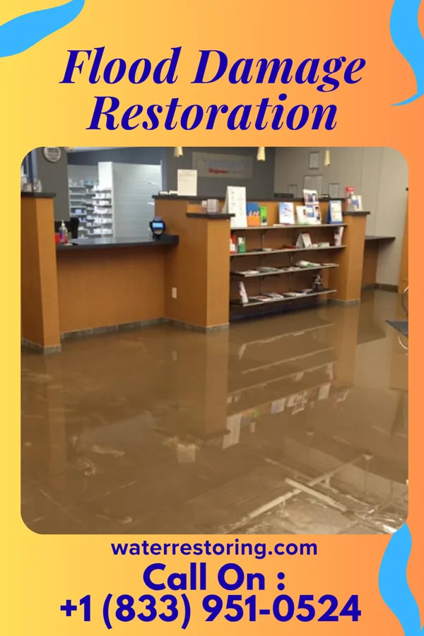 Flood Damage Restoration in Vann Crossroads, NC