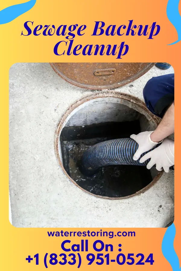Sewage Backup Cleanup in Vann Crossroads, NC